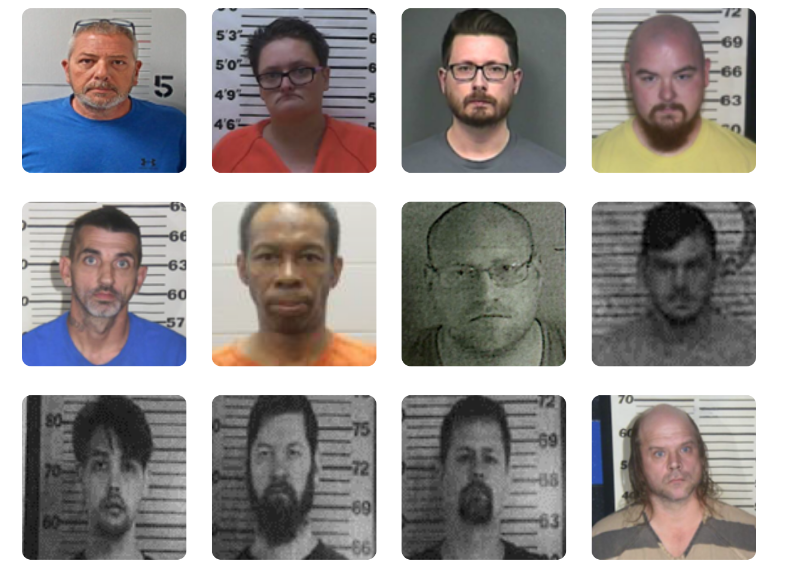 Twelve Feloniously Charged in Online Child Exploitation, Sextortion Sweep, Tennessee Investigators Say